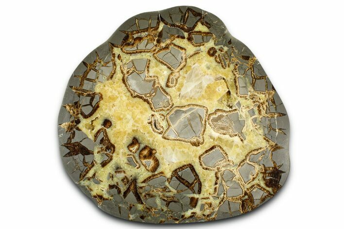 Polished Septarian Slab - Utah #381478